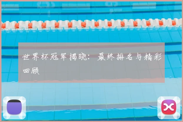 世界杯冠军揭晓：最终排名与精彩回顾