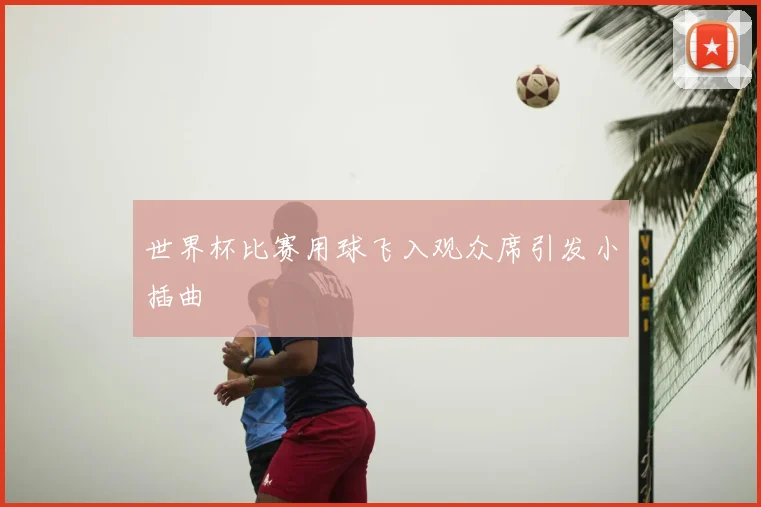 世界杯比赛用球飞入观众席引发小插曲