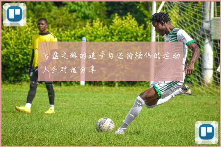 飞盘之路的追寻与坚持杨伟的运动人生对话分享