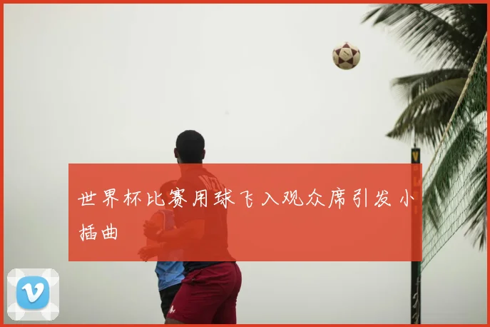 世界杯比赛用球飞入观众席引发小插曲