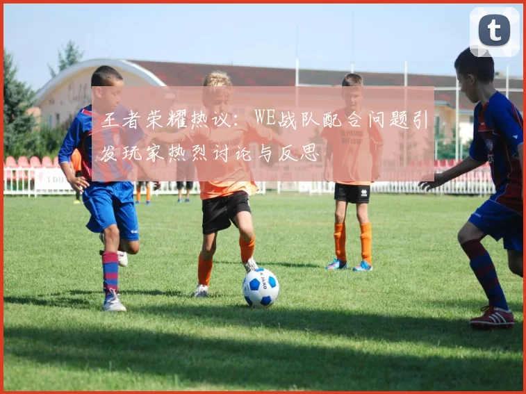 王者荣耀热议：WE战队配合问题引发玩家热烈讨论与反思