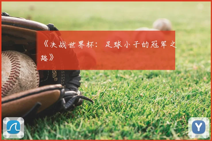 《决战世界杯：足球小子的冠军之路》