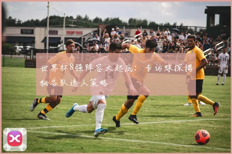世界杯8强阵容大起底：专访球探揭秘各队选人策略