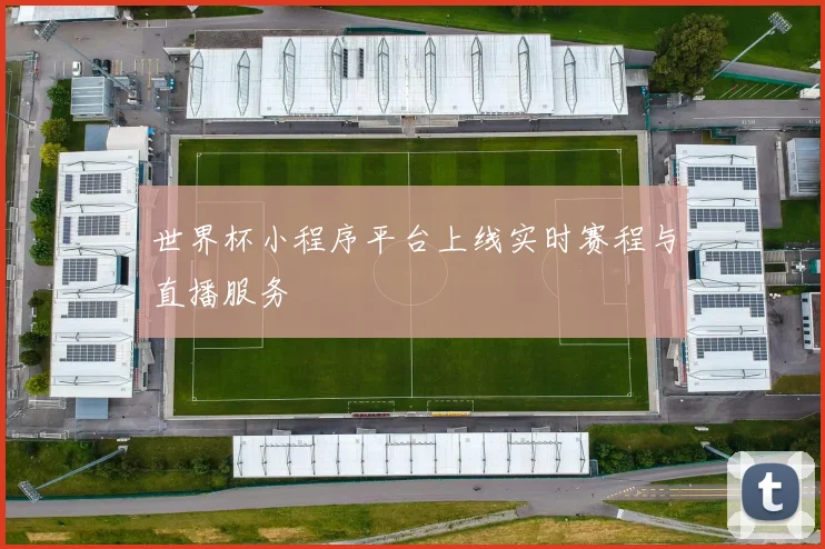 世界杯小程序平台上线实时赛程与直播服务