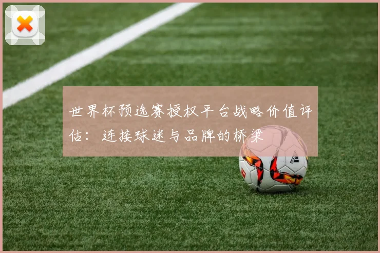世界杯预选赛授权平台战略价值评估：连接球迷与品牌的桥梁
