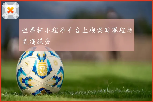 世界杯小程序平台上线实时赛程与直播服务